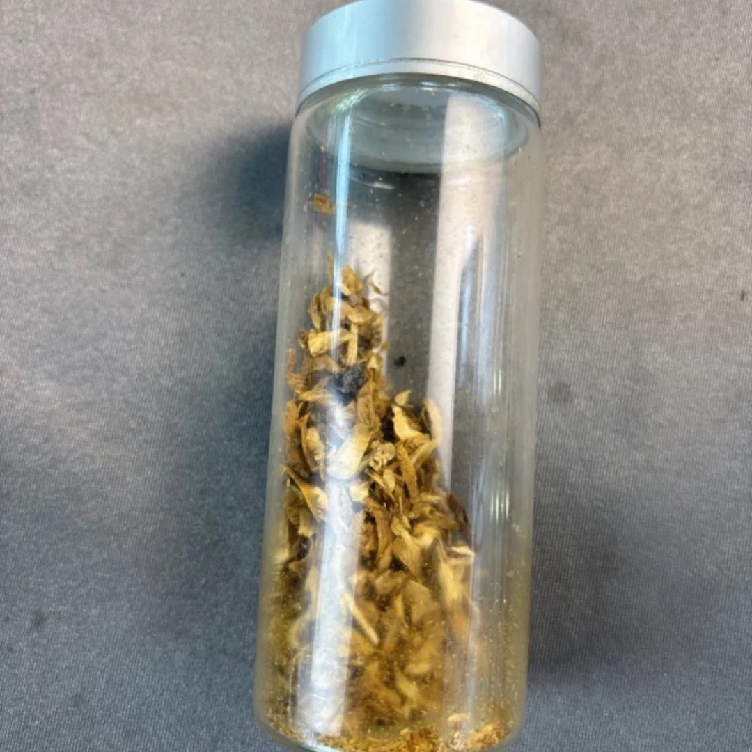 沉香福利款GD10多样性发一