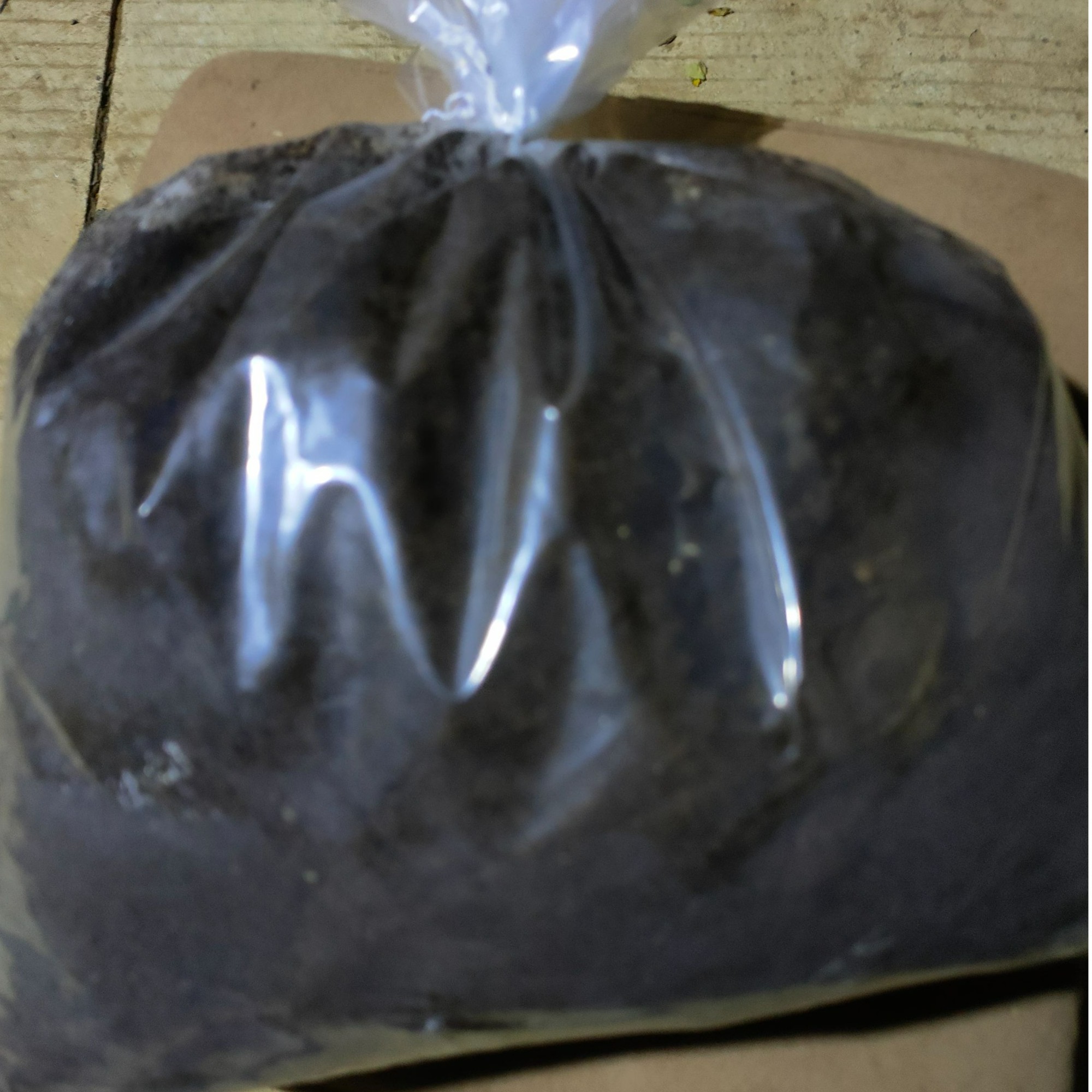 【宏哥月季】预备链接庭院