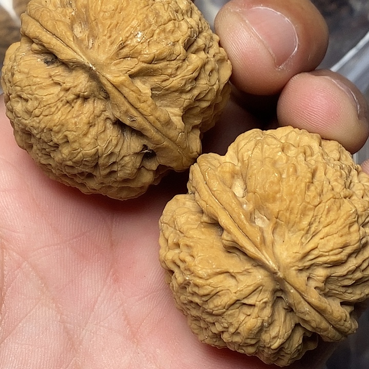 把件文玩核桃云南铁核桃2
