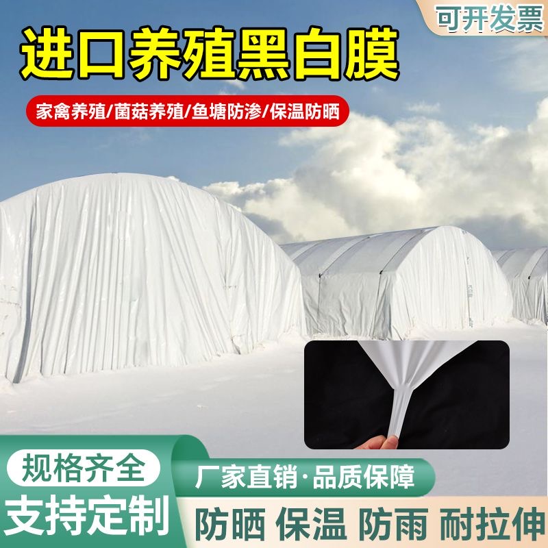 大棚专业养殖菌菇黑白膜防晒加厚隔热鱼塘农用熟料布进口抗老化膜