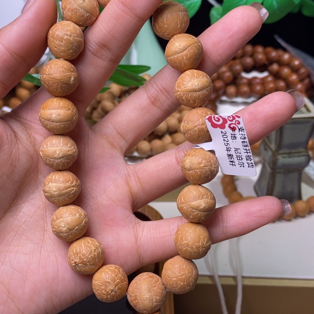 手串凤眼菩提14+素手串