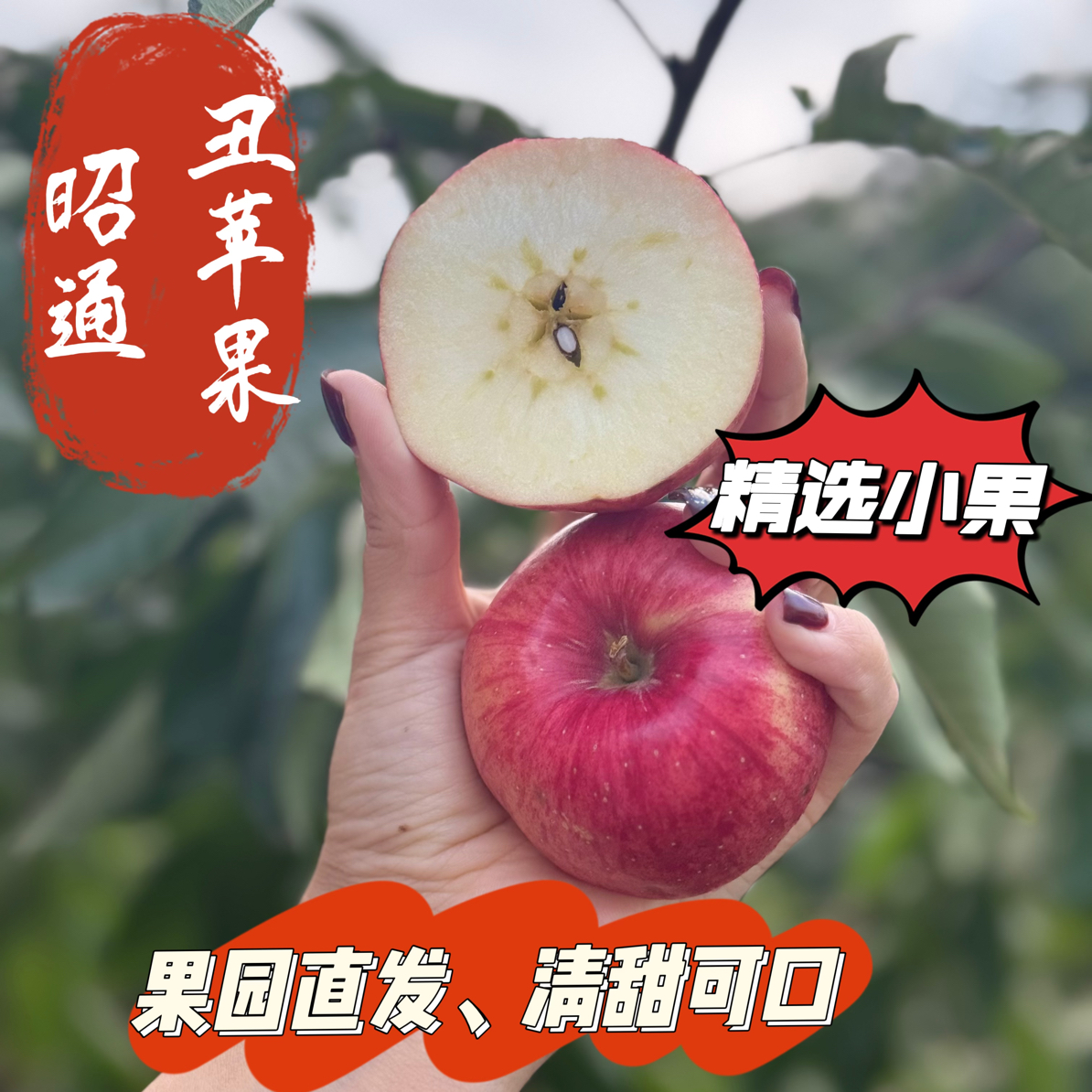 正宗云南昭通冰糖心丑苹果脆甜多汁现摘新鲜水果小果
