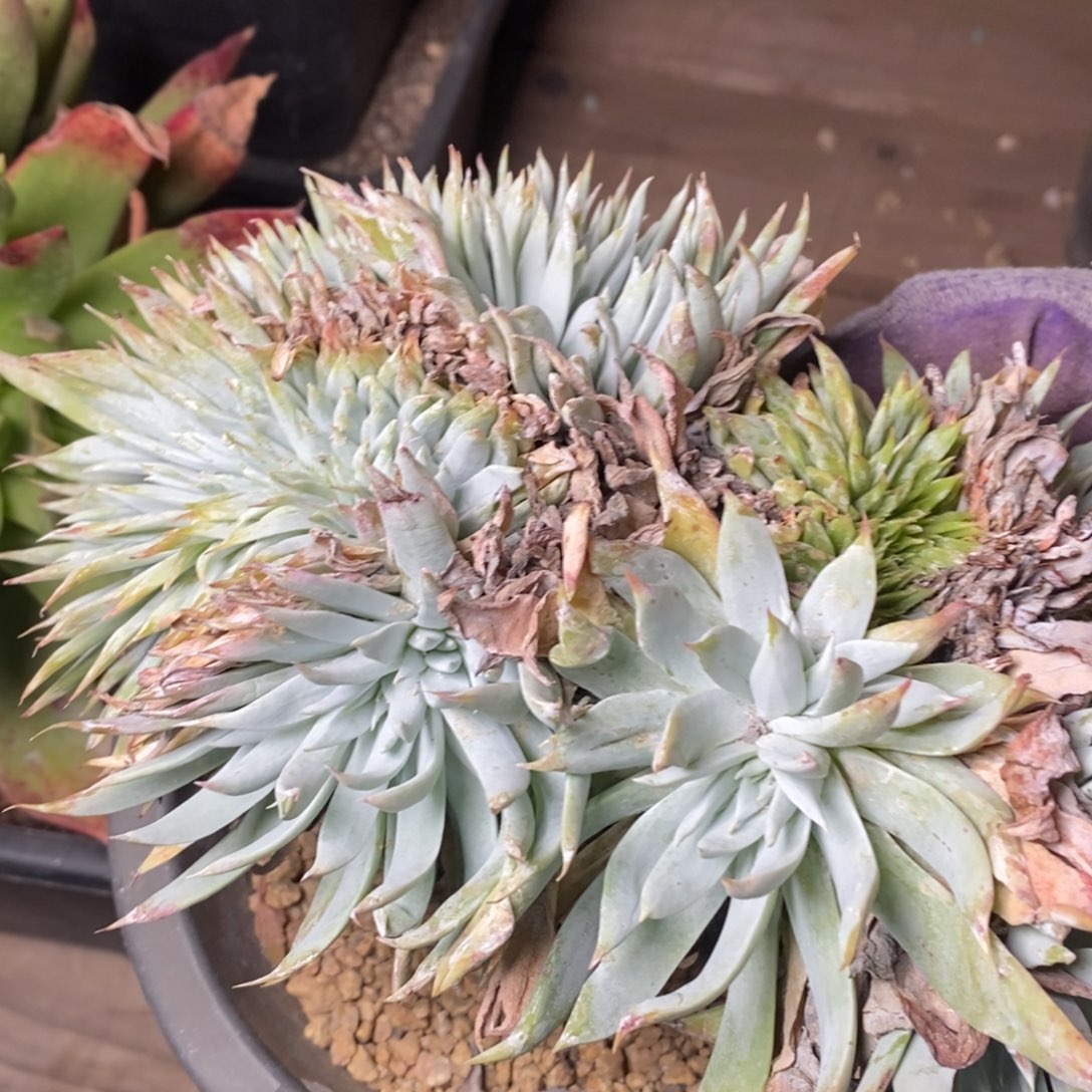 2118哈哈哈哈哈哈哈哈哈哈哈哈哈哈哈