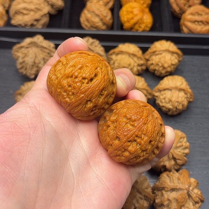 核桃秦岭山脉中段怒江与澜沧江