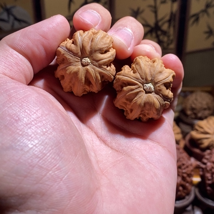 文玩核桃把件东北3