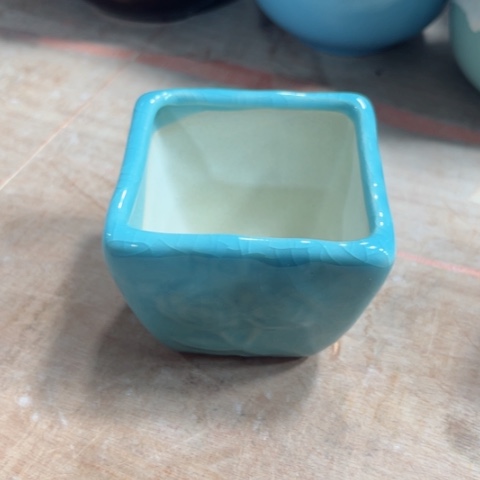 陶瓷新年快乐都是福利盆各位姐姐