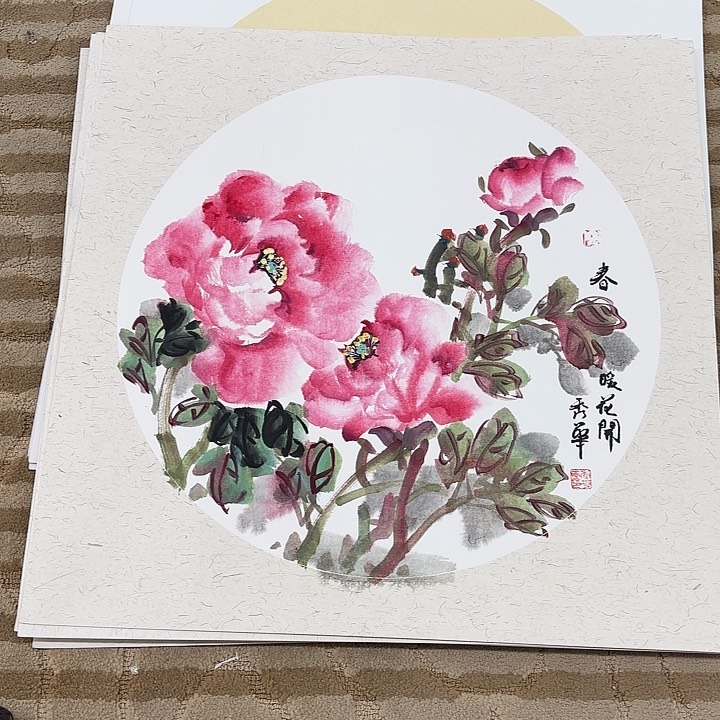 国画花鸟的翅膀和翅膀50.50