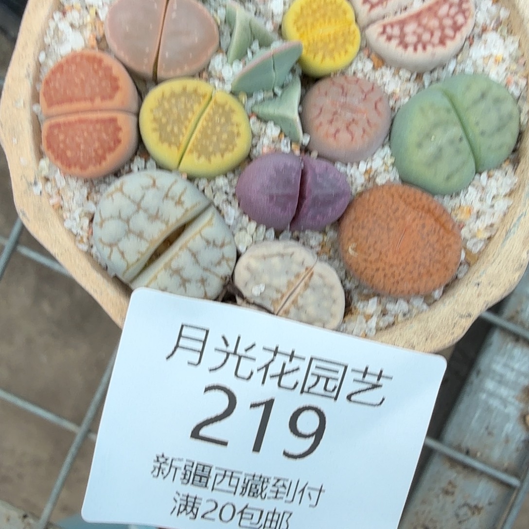 你说是谁在的了吧现在219