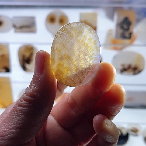 【闪购商品】玛瑙/玉髓珠宝半成品未镶嵌