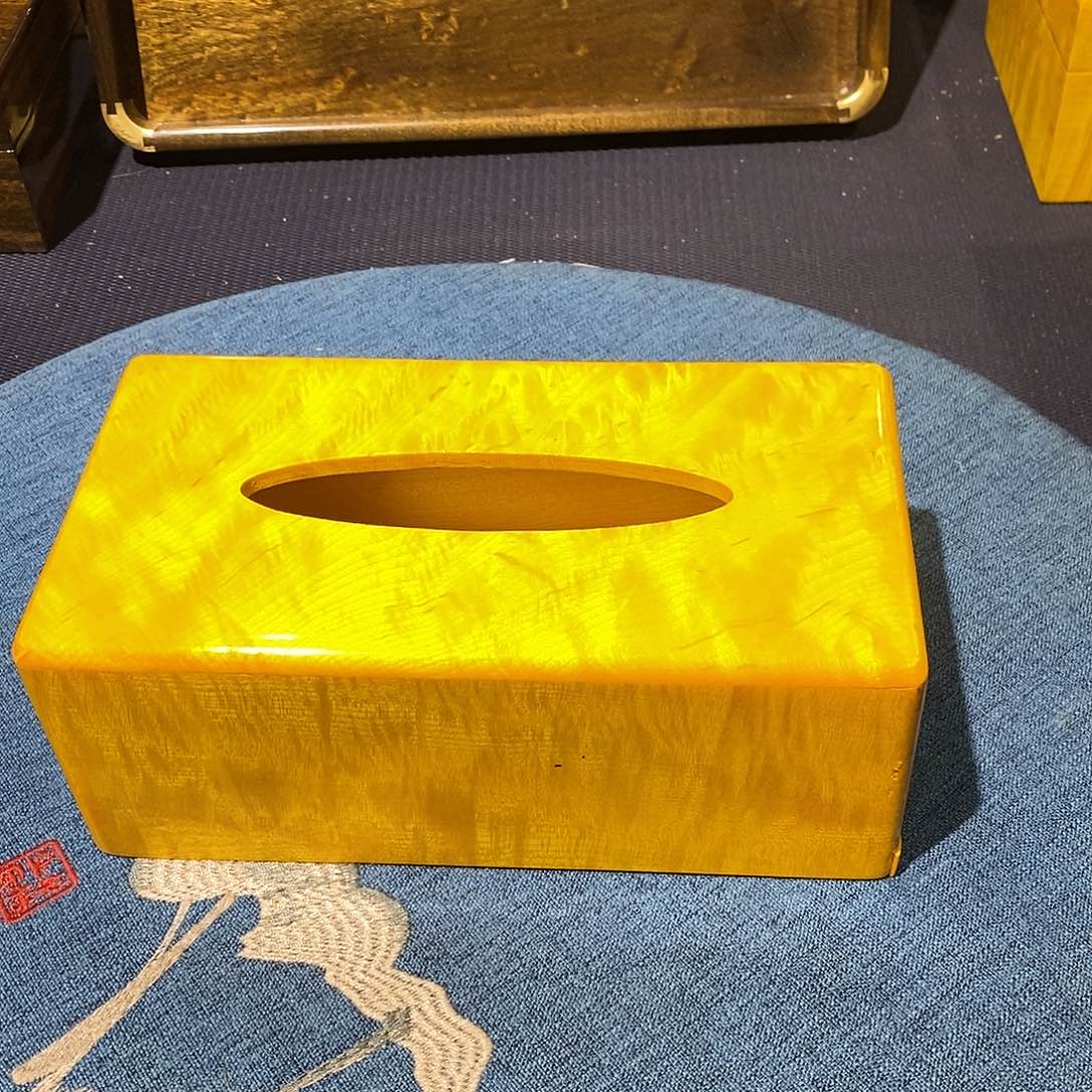 楠木25234646565676788