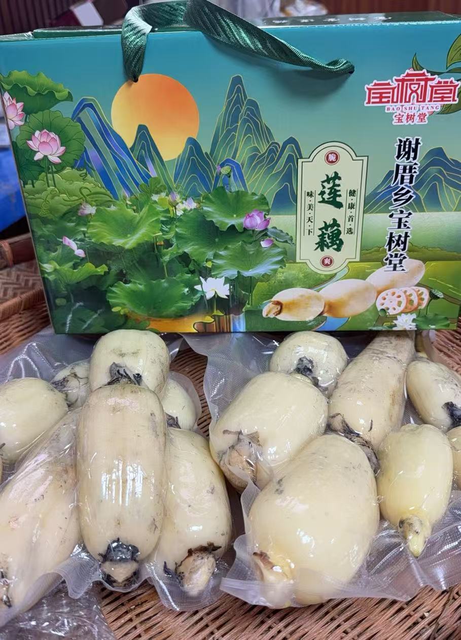 谢厝乡莲藕   现挖现发 清脆爽口莲藕