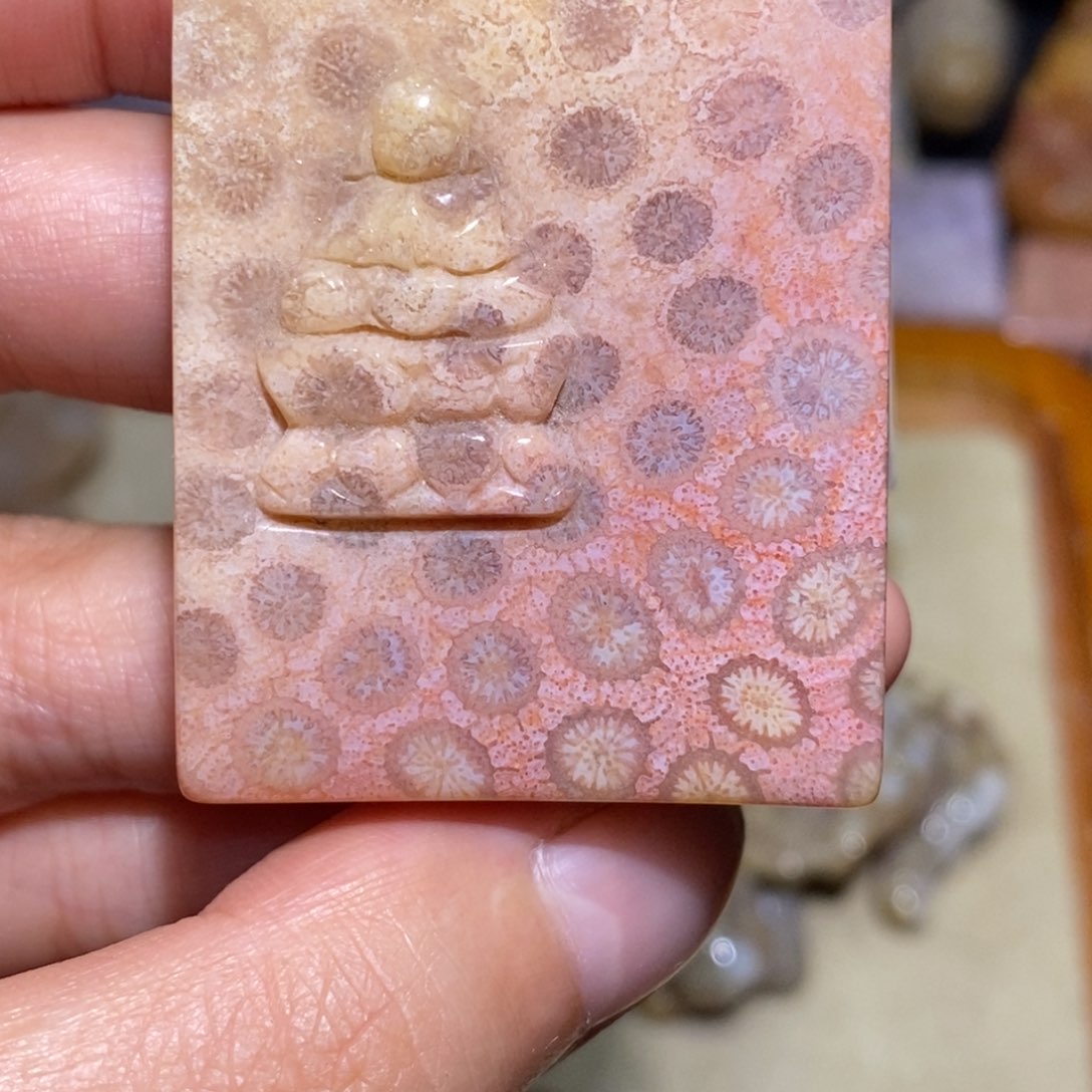 【闪购商品】硅化玉珊瑚玉未镶嵌