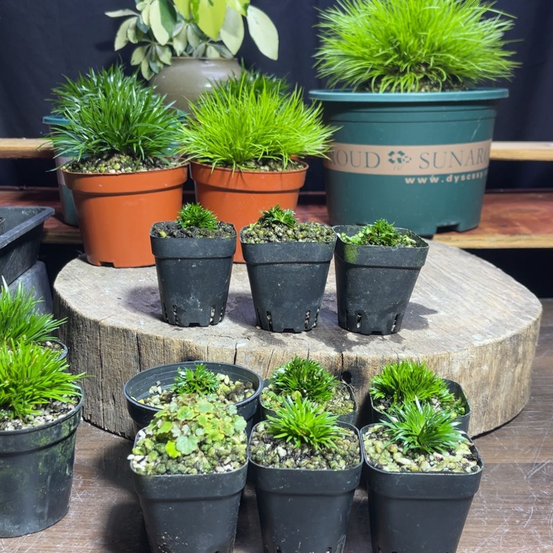 【闪购商品】完全开放遇***方