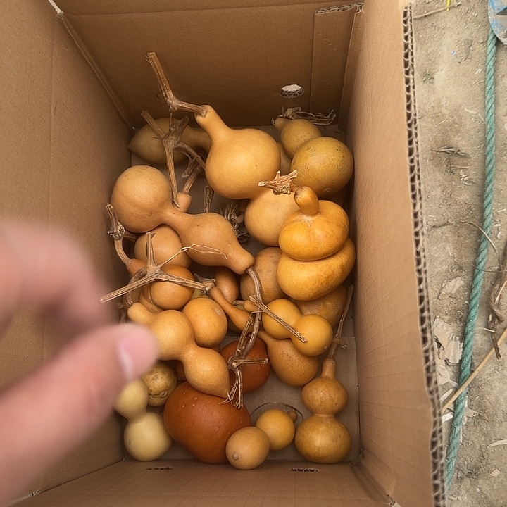 文玩葫芦零元起拍