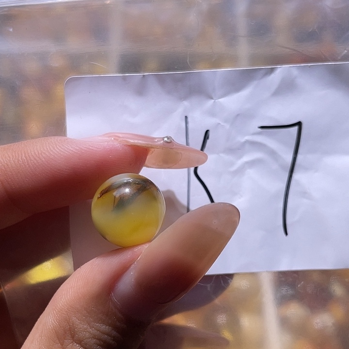 裸石琥珀未镶嵌12.6福利