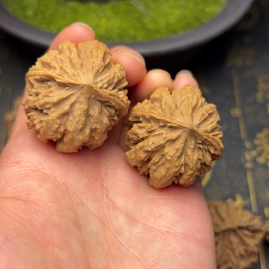 文玩核桃把件秦岭核桃6