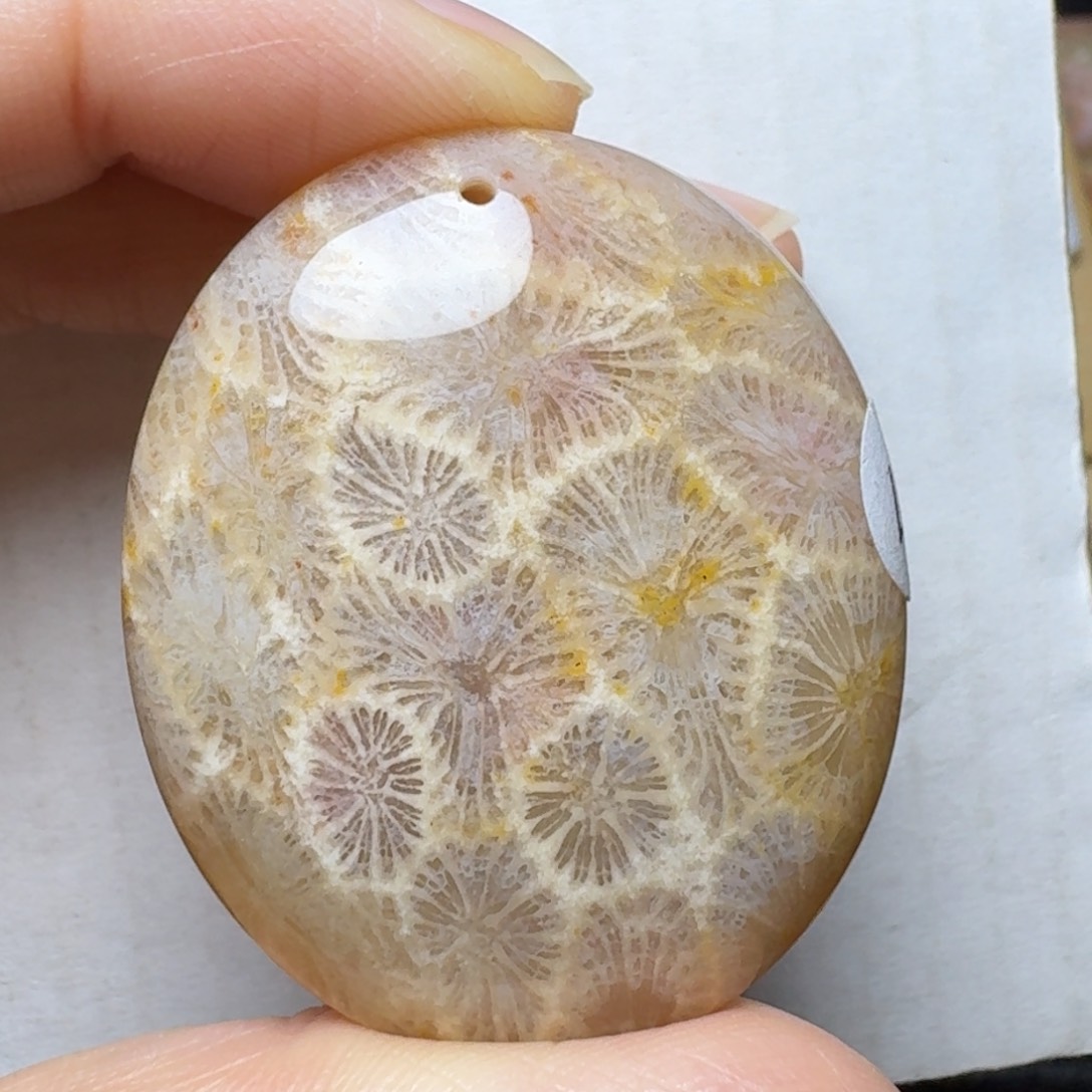 硅化玉黄飘紫粉大枫叶，透 能盘未镶嵌