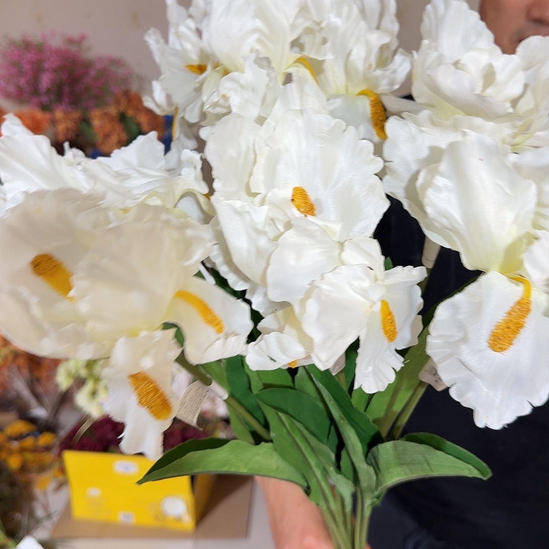 933号白鸢尾花10支