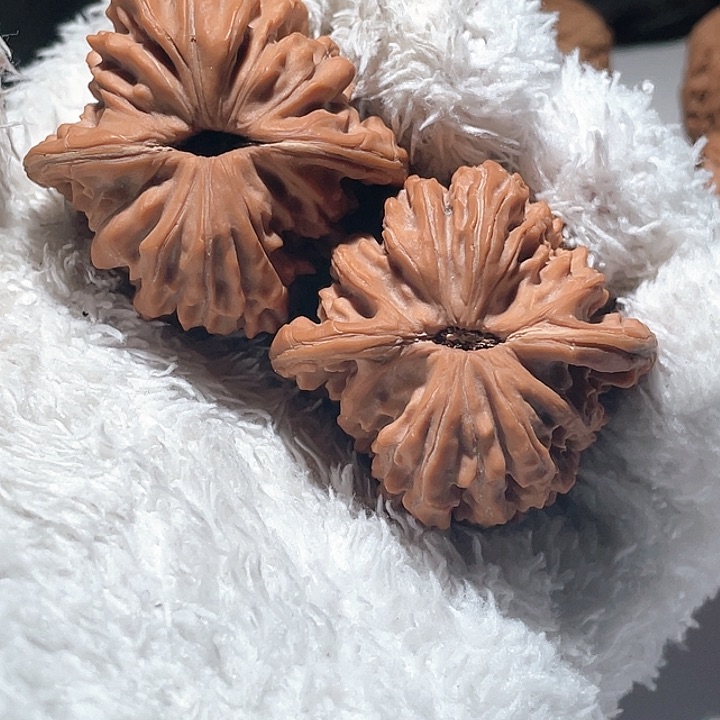 窗****草42精品大红皮楼文玩核桃