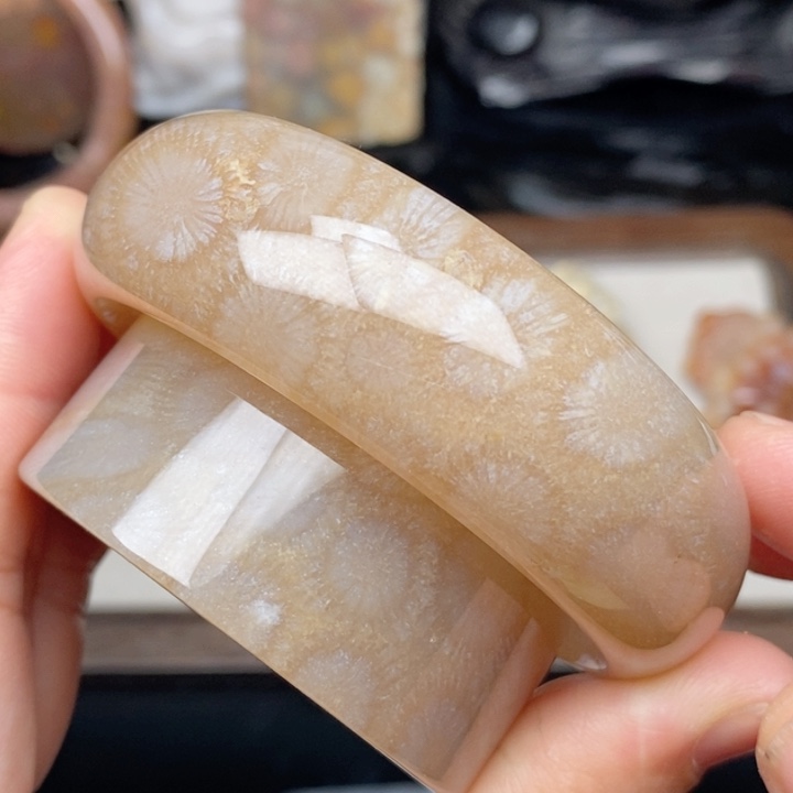 硅化珊瑚（珊瑚玉）未镶嵌手镯56