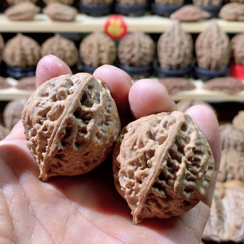 文玩核桃把件莲花底