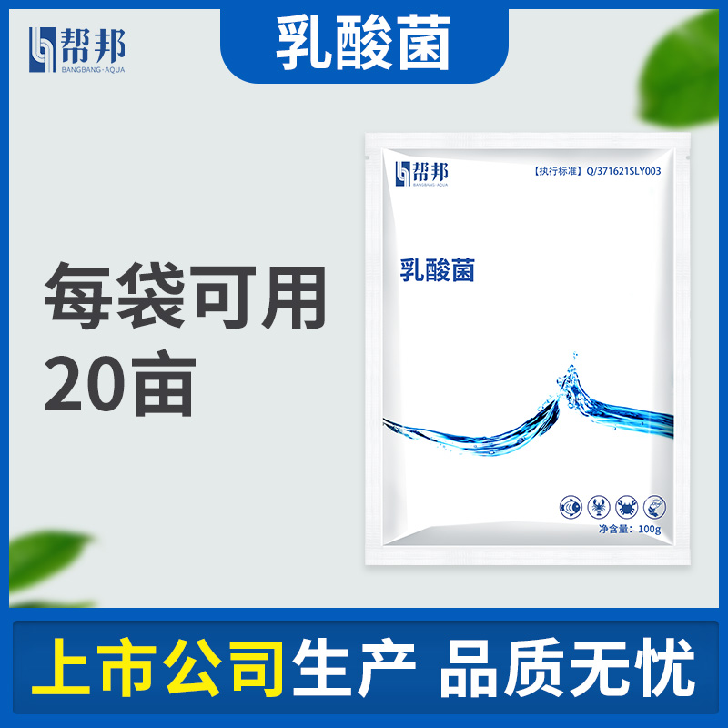 乳酸菌 帮邦水产鱼虾蟹