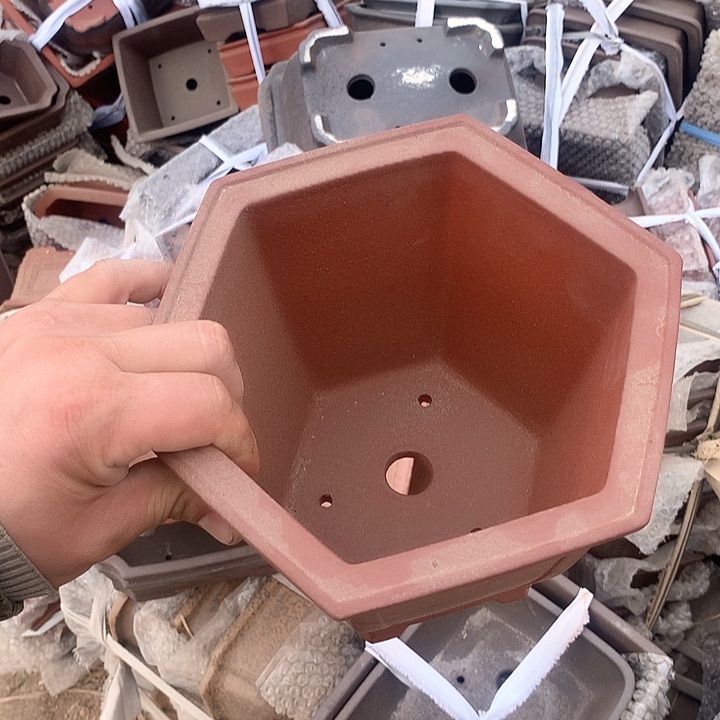 紫砂哈哈真的超级可爱哈哈哈哈哈