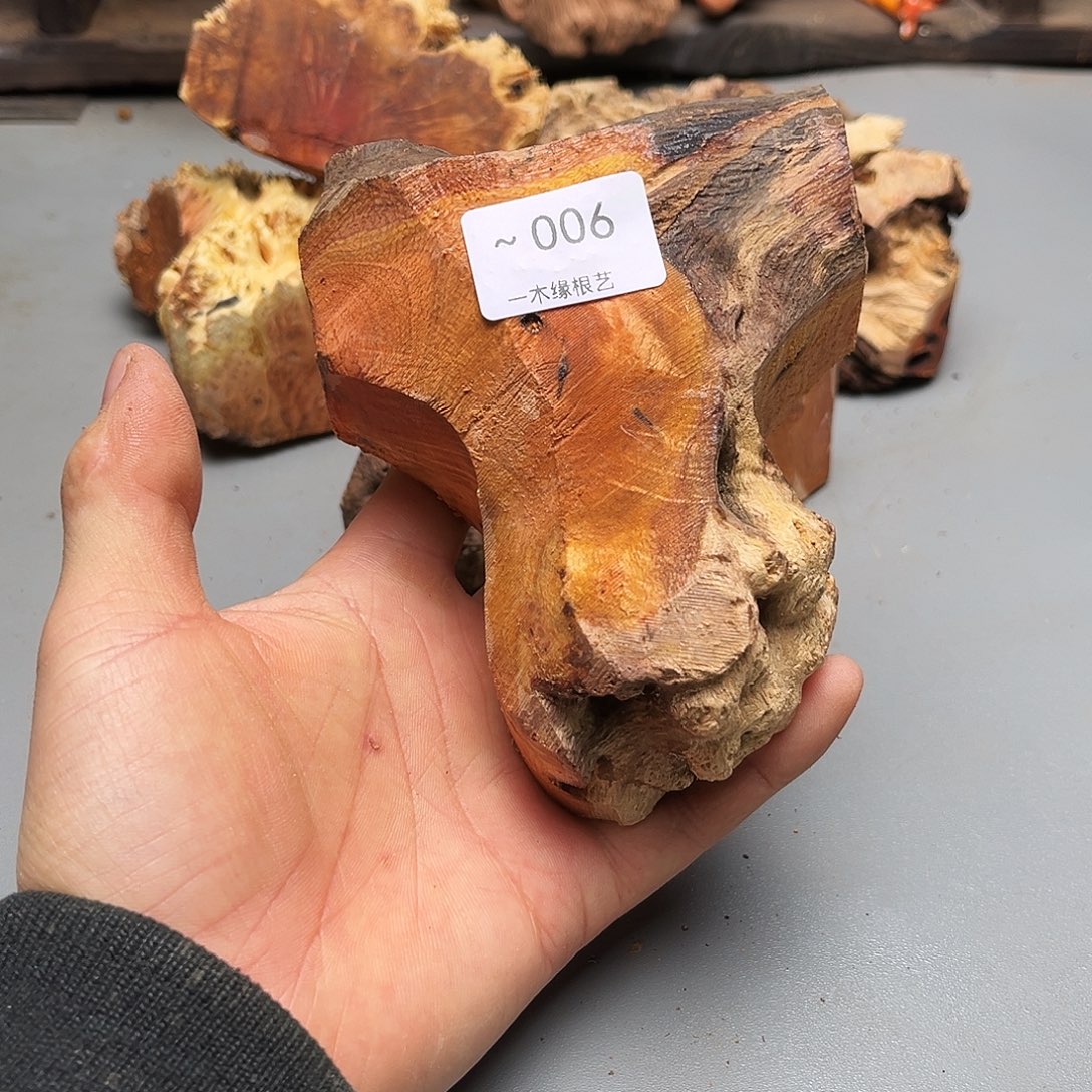 1***8无花朵00000000006