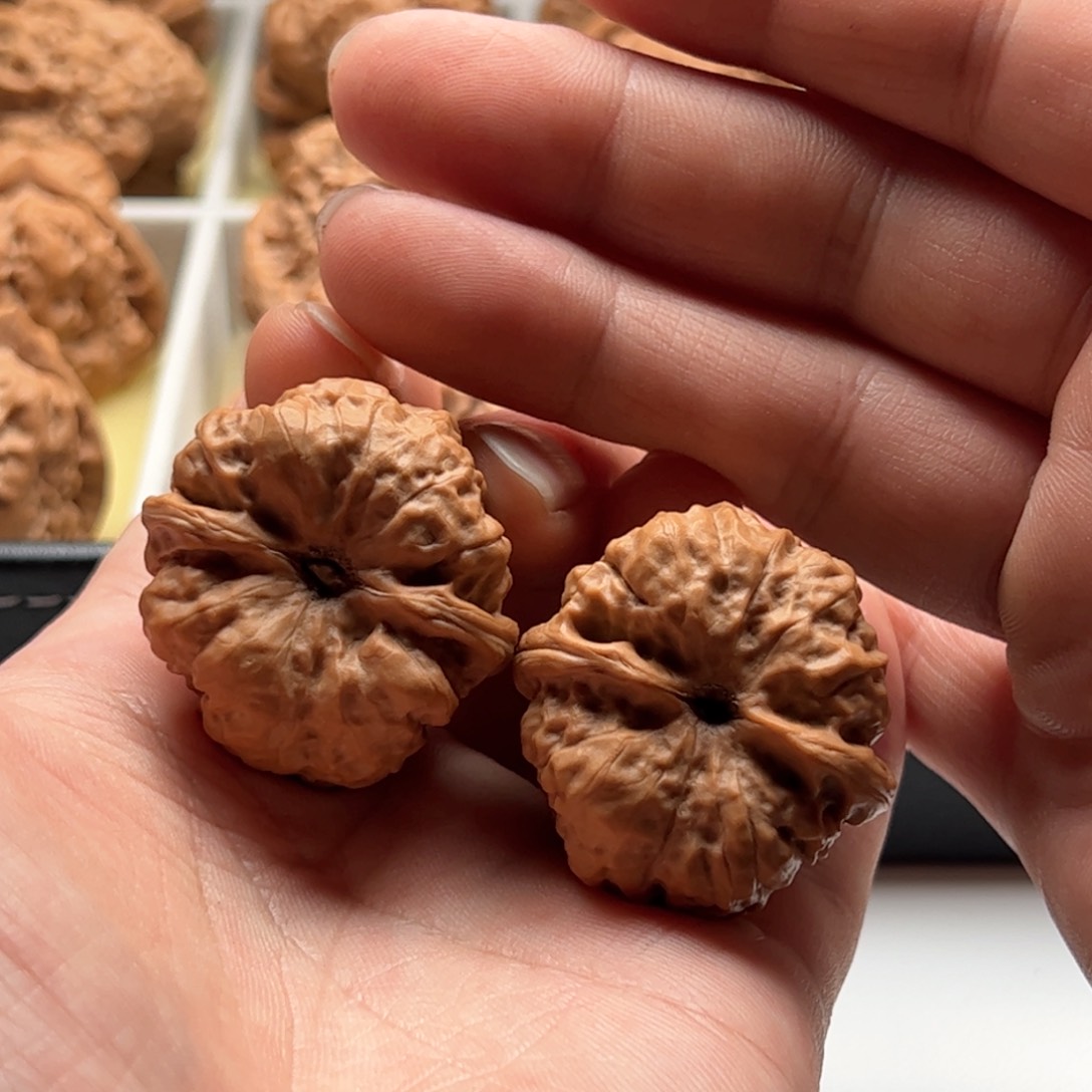 核桃把件愣****乐延庆蛤蟆头