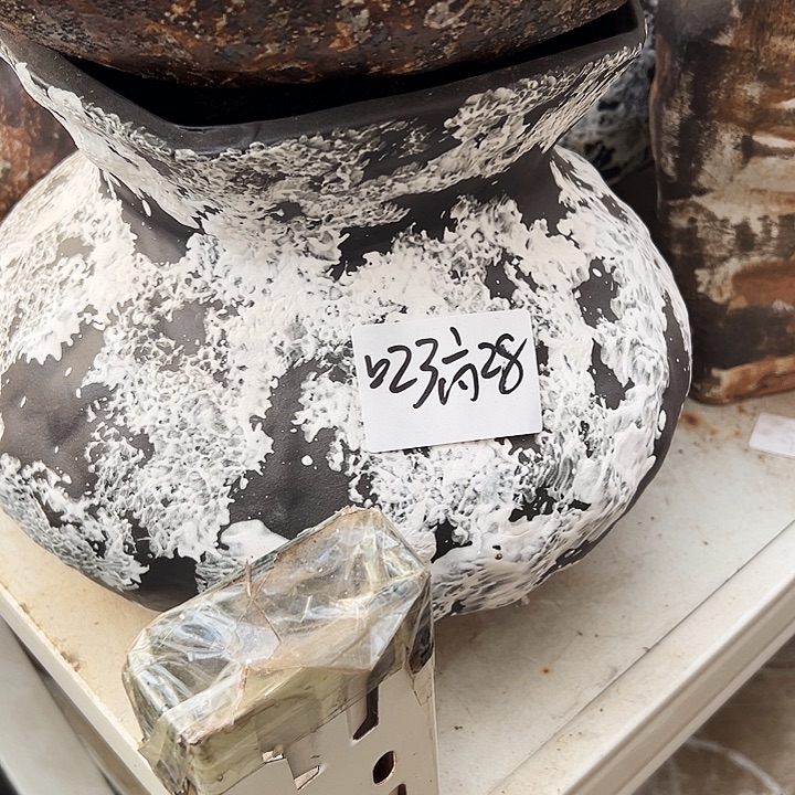 景德镇精品花盆栽