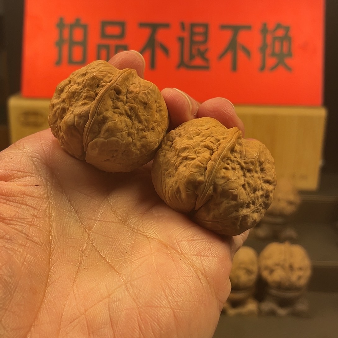 文玩核桃把件聚宝金蟾