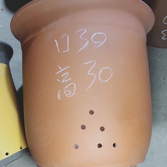 红陶紫砂是在紫砂