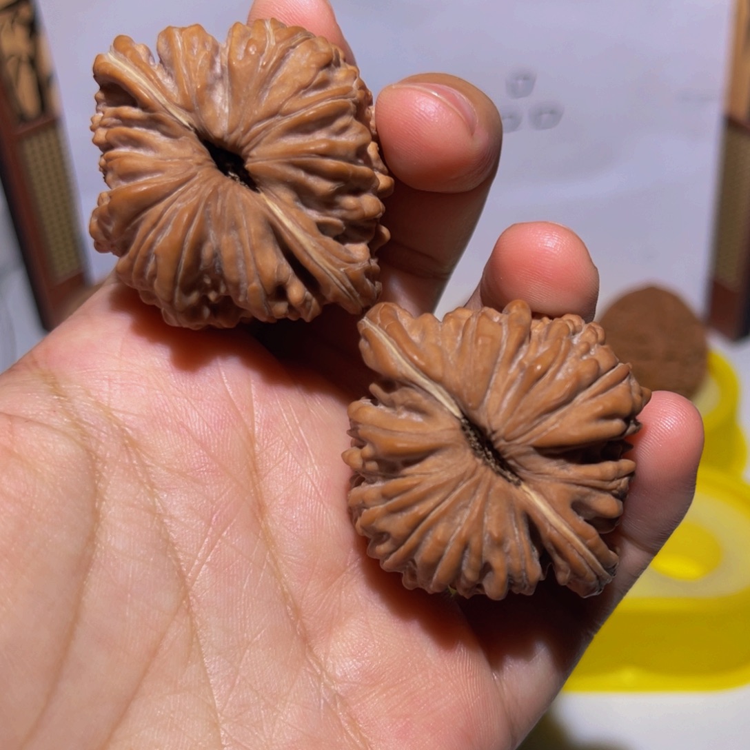 核桃45全品四座楼
