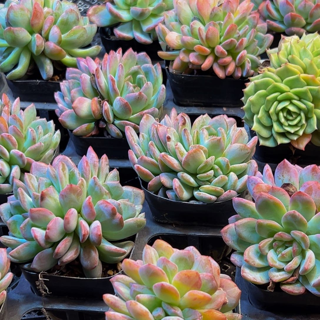 879的人了吧哈哈哈哈哈哈哈哈哈哈哈