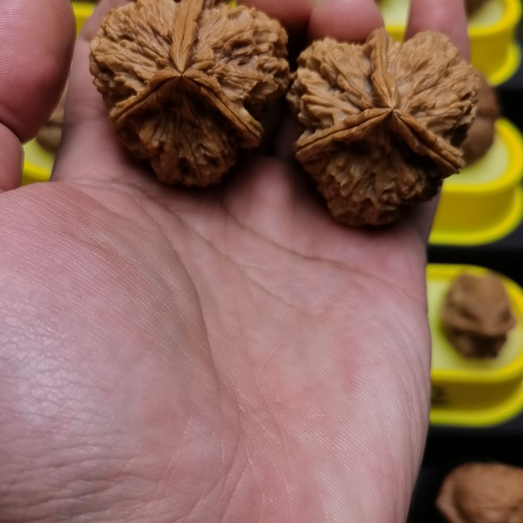 文玩核桃吊坠杜*云铁堂臻选文玩核桃