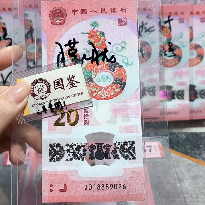 塑料018889026。。。。。朦胧 豹子身