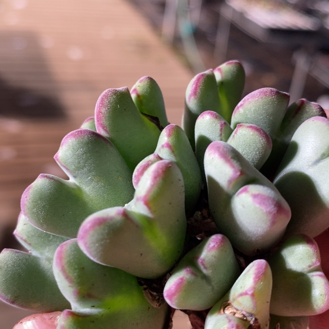 14145一个一个一个