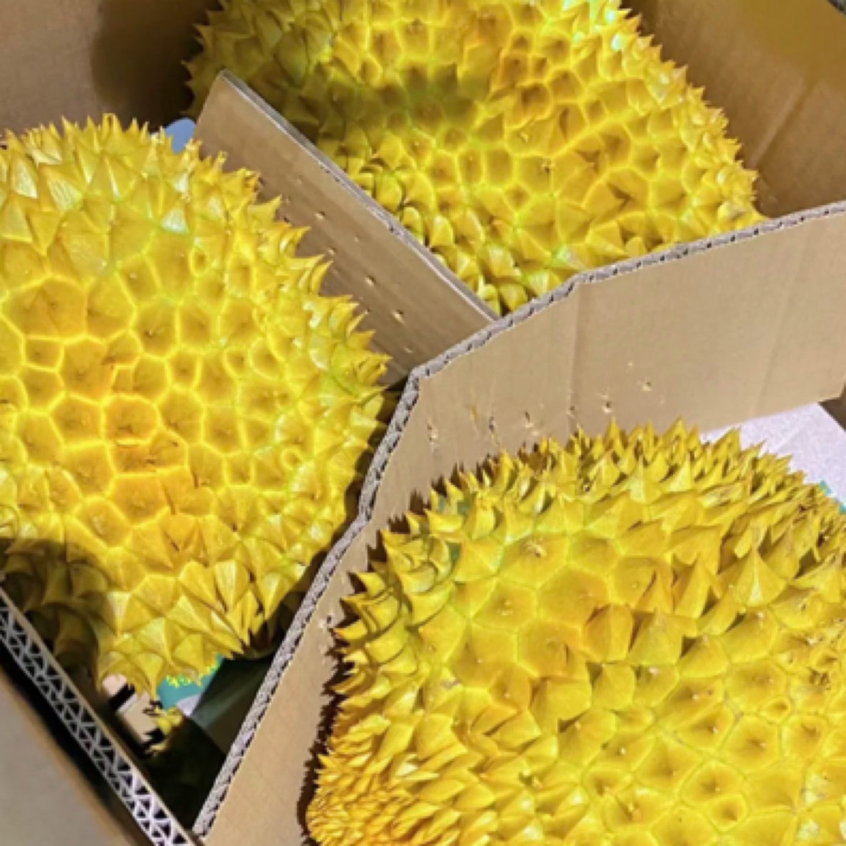 新鲜金枕榴莲（25.8/斤整果）一果一量肉厚核小金枕泰国