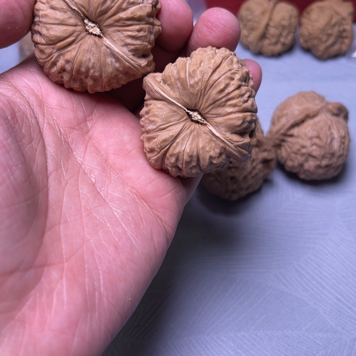 文玩核桃把件毒***子45南瓜