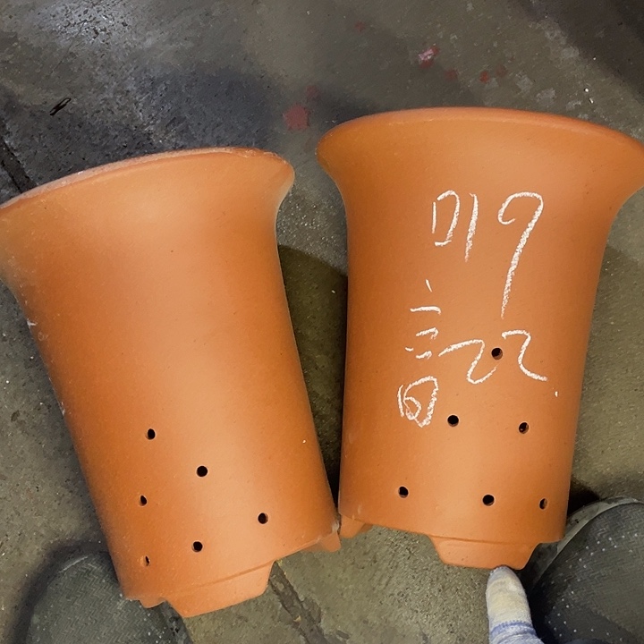 红陶紫砂紫砂紫砂