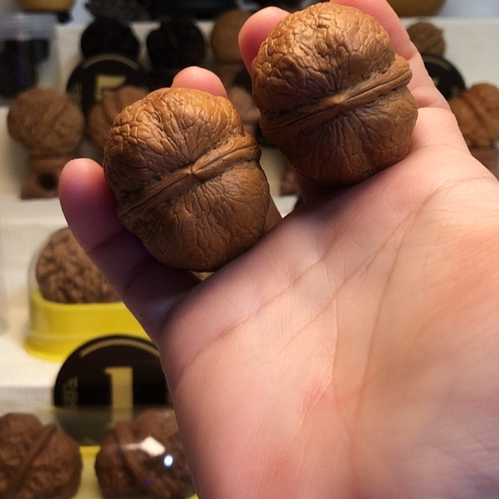 桃核吊坠云南铁核桃