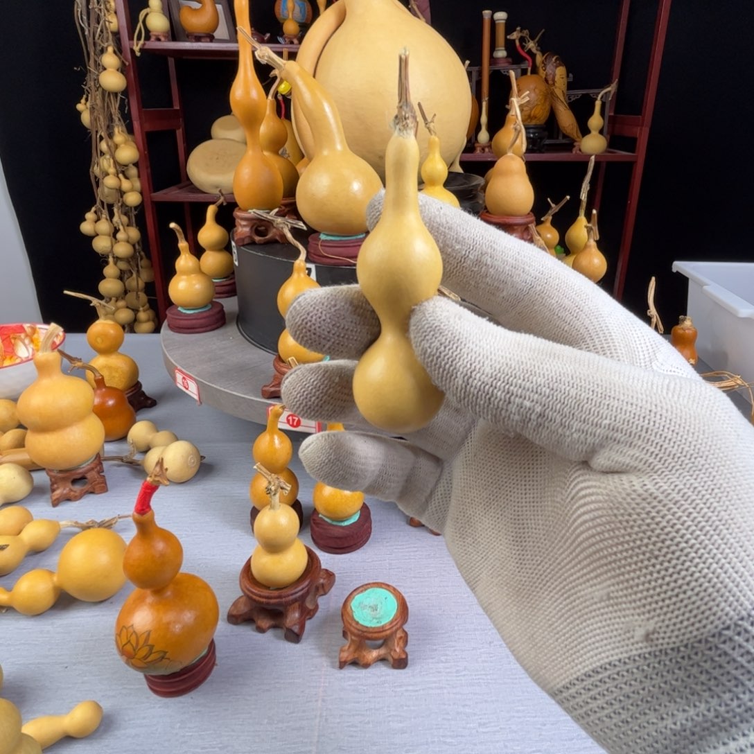 先***.藤木我的小可爱，一点也不像个女孩