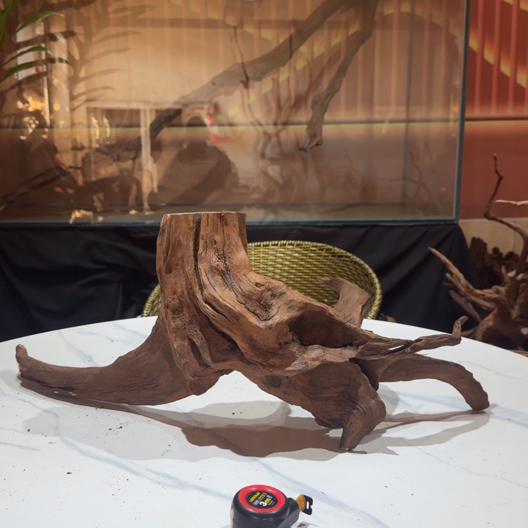 赤***北香榧木一物一拍鱼缸造景