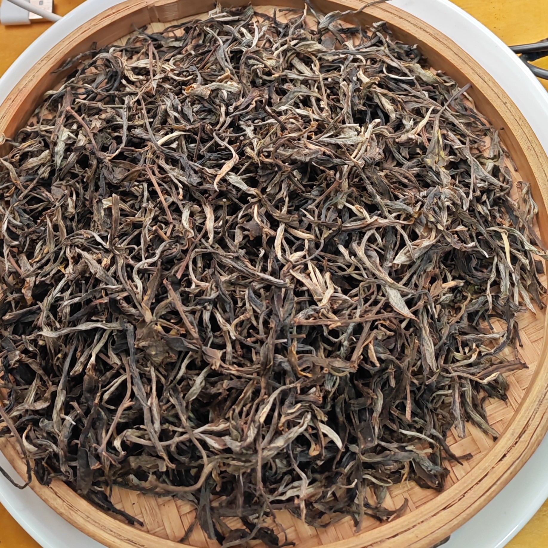 2023春【坡脚老寨68号·生茶·混采】晒青散茶（250克）-11月18日【02】