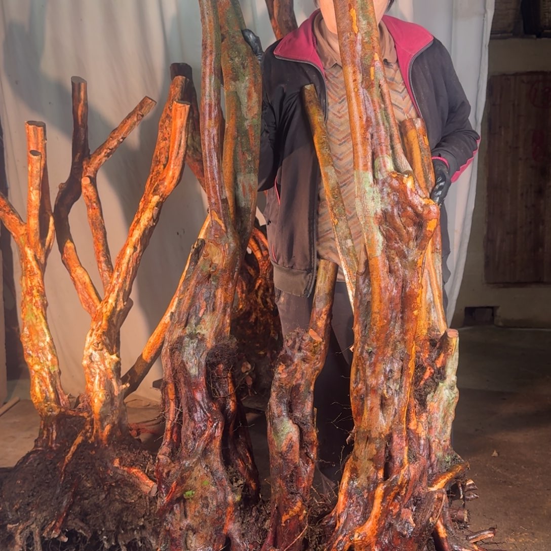 斌***哥111111111111111121