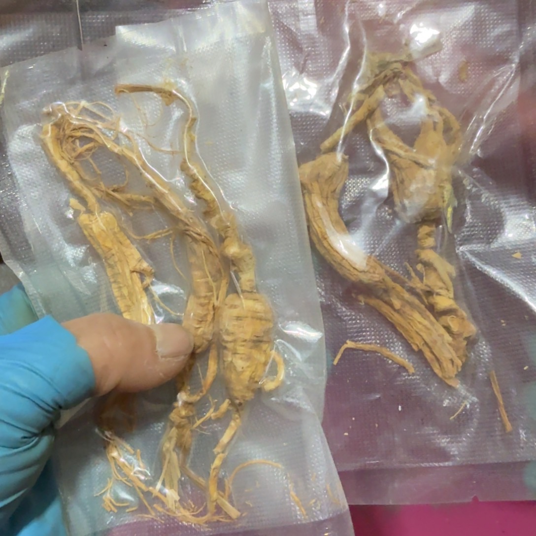 H***W杂色豆（科檀/科特迪瓦檀木）