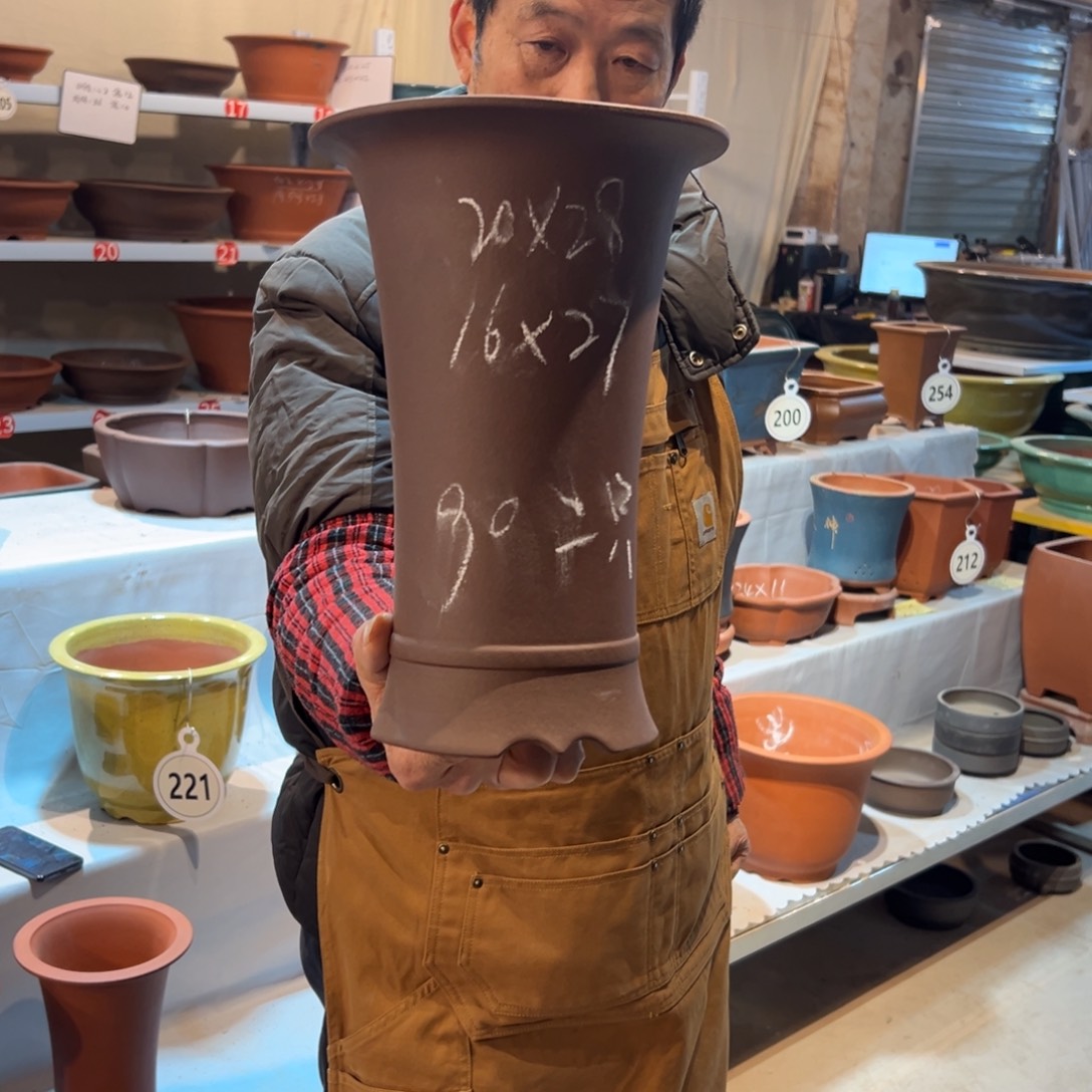 束腰兰花盆紫色一个