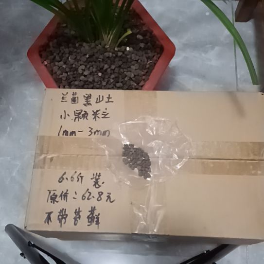 ****哥兰菌黑山土小颗粒6.6斤