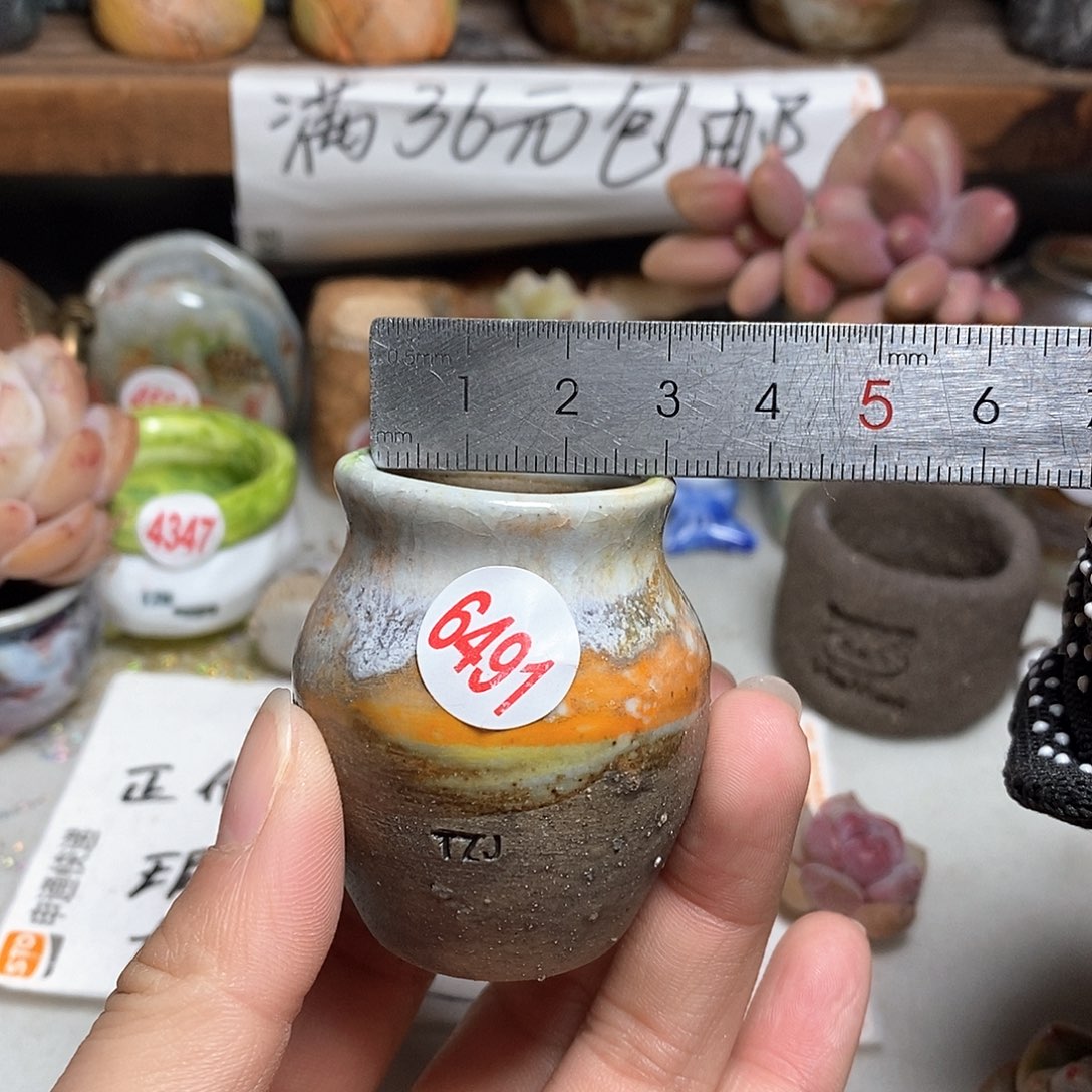 红陶拍5送一个小