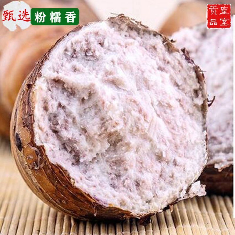正宗广西荔浦当季现挖现发新鲜大芋头粉糯软面香芋口感好槟榔芋